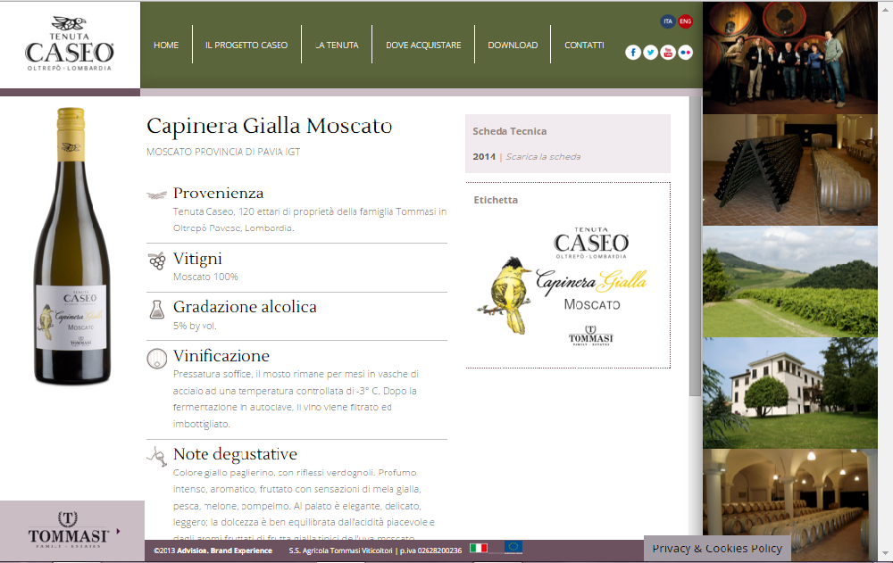 Tenuta Caseo web site